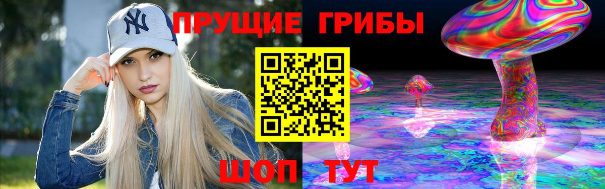Отрадный  Псилоцибиновые грибы Psilocybine cubensis  Вход с VPN 